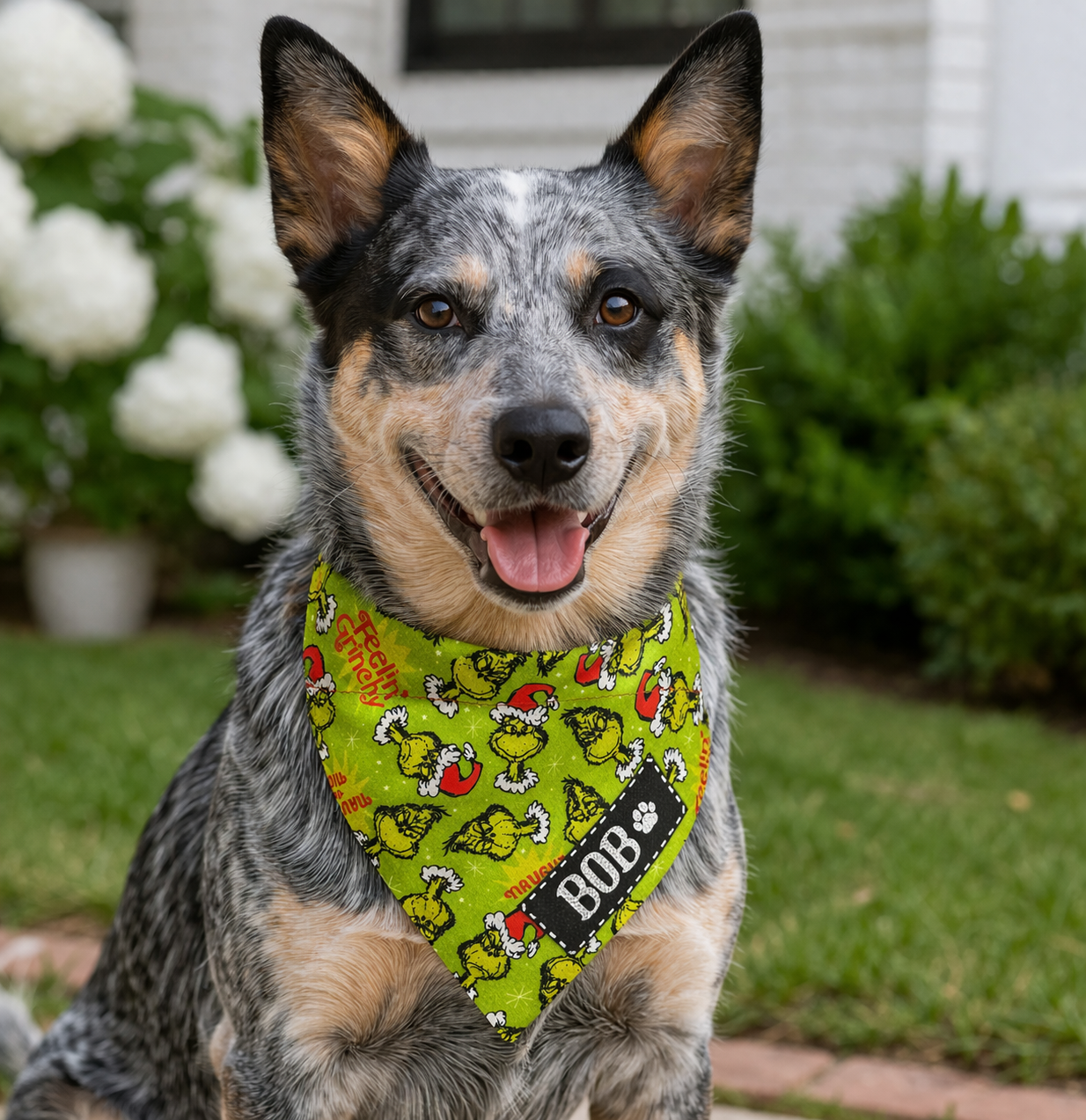 Personalized Dog Bandanas - Winter/Christmas Theme Designs