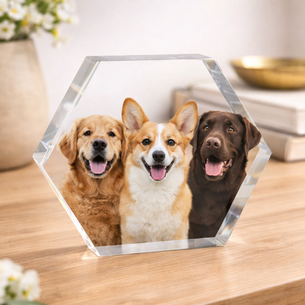 Hexagonal crystal photo frame with three dogs on a wooden surface
