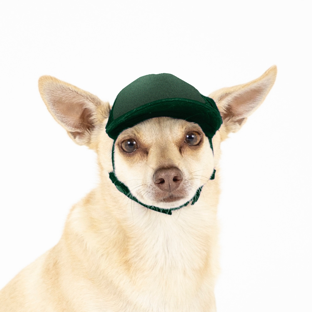 PupLid Dog Hat with Custom Design - Foam Trucker Hat - Pick up at CLE Unleashed
