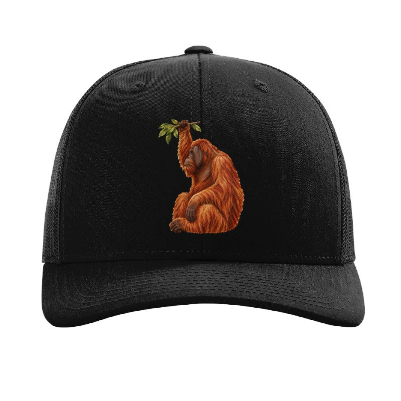 Embroidered orangutan patch trucker hat, Cleveland - Black