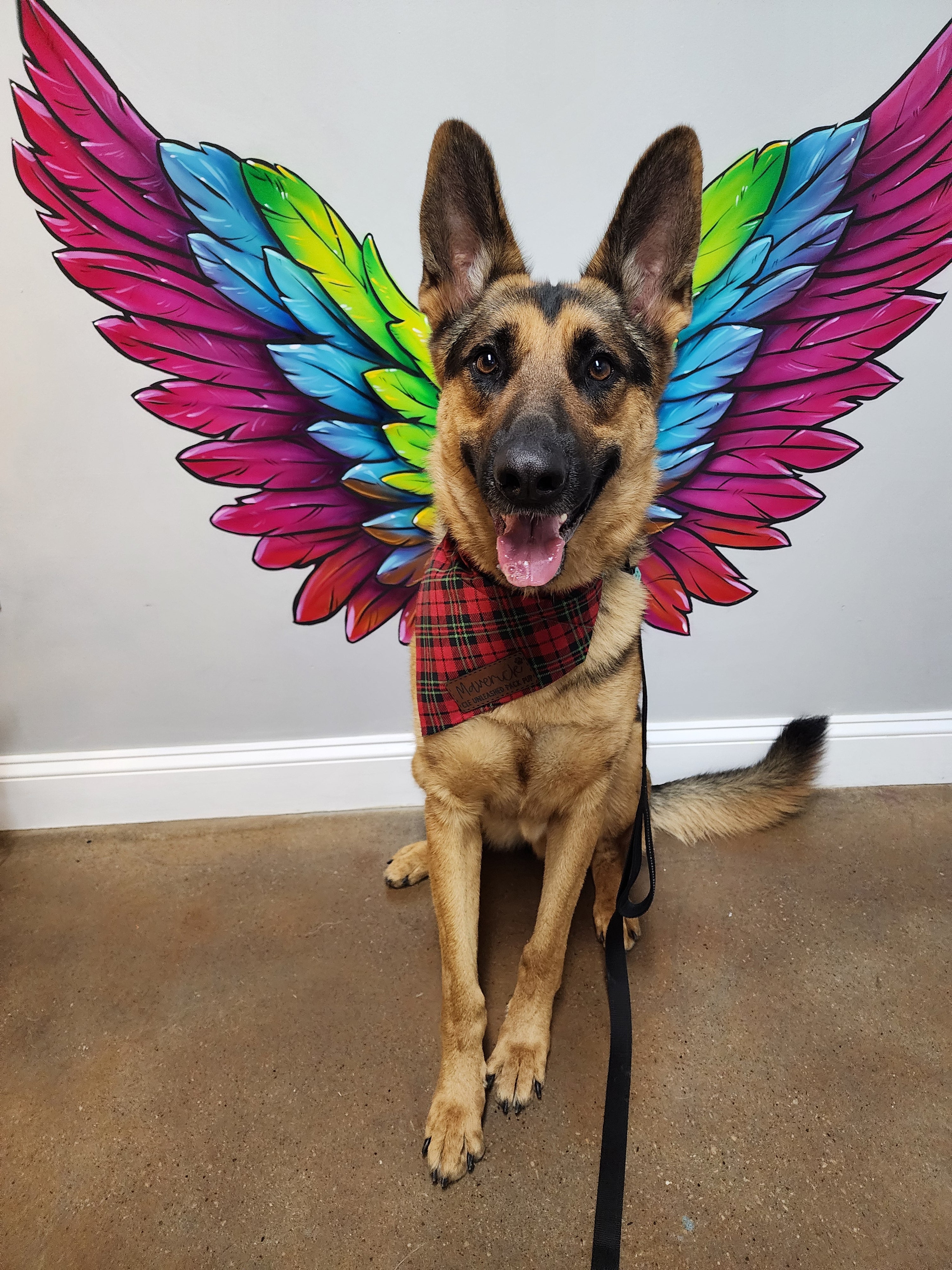 Personalized Pet Items