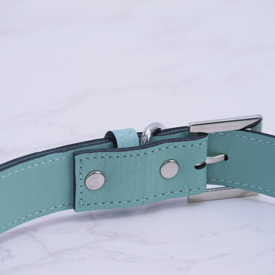 Personalized Dog Collar, Leatherette, Add a custom QR code