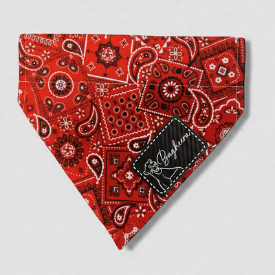 Personalized Dog Bandanas - Paisley Theme Designs