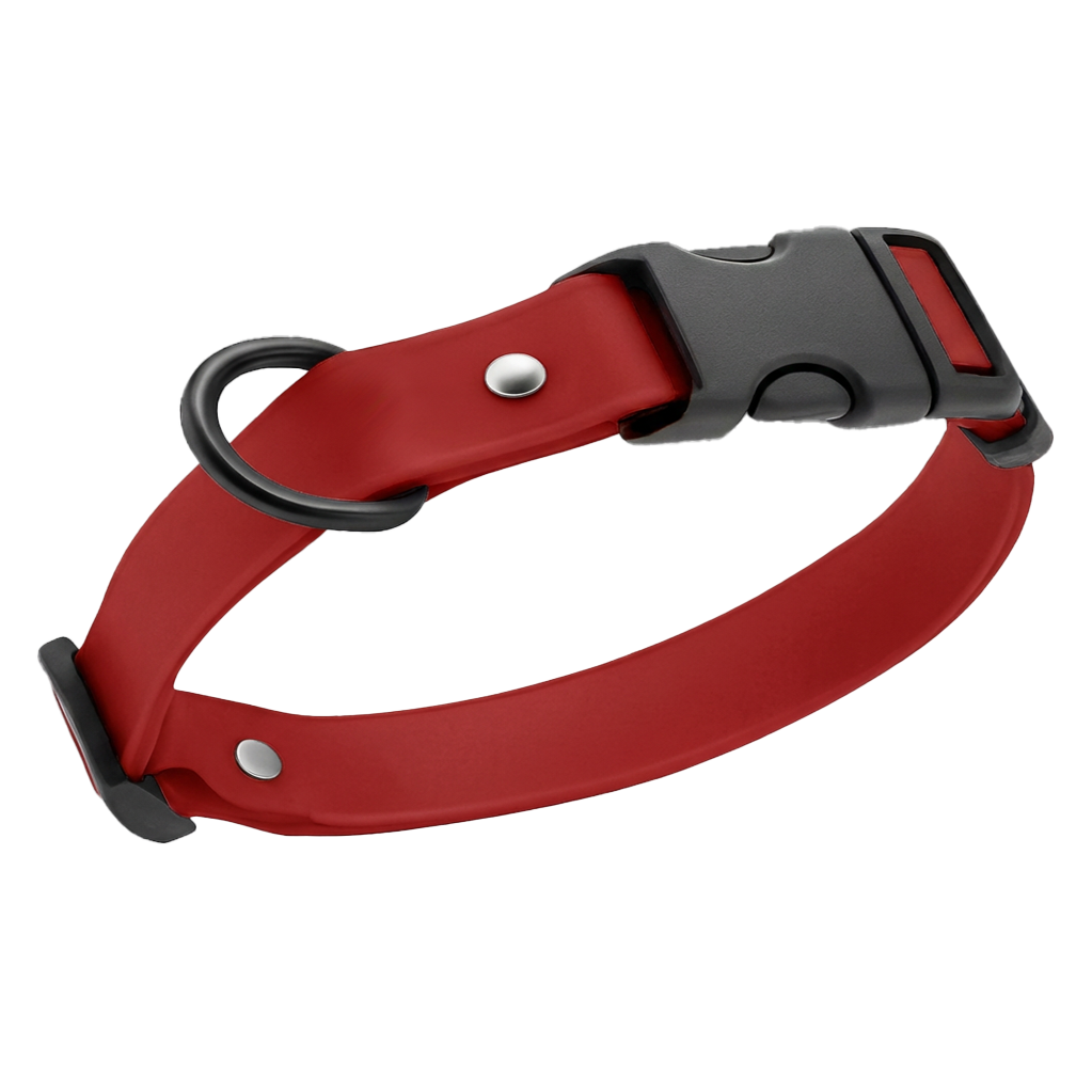 Personalized Standard BioThane® Adjustable Dog Collar - Waterproof, Durable & 100% Made in Ohio