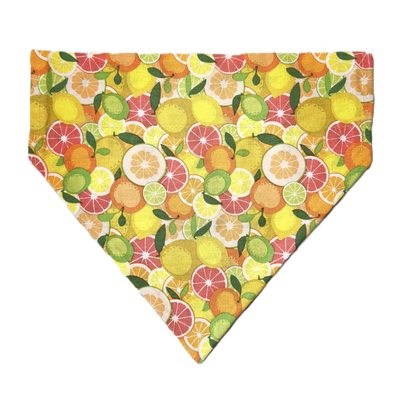 Personalized Dog Bandanas - General Theme Designs