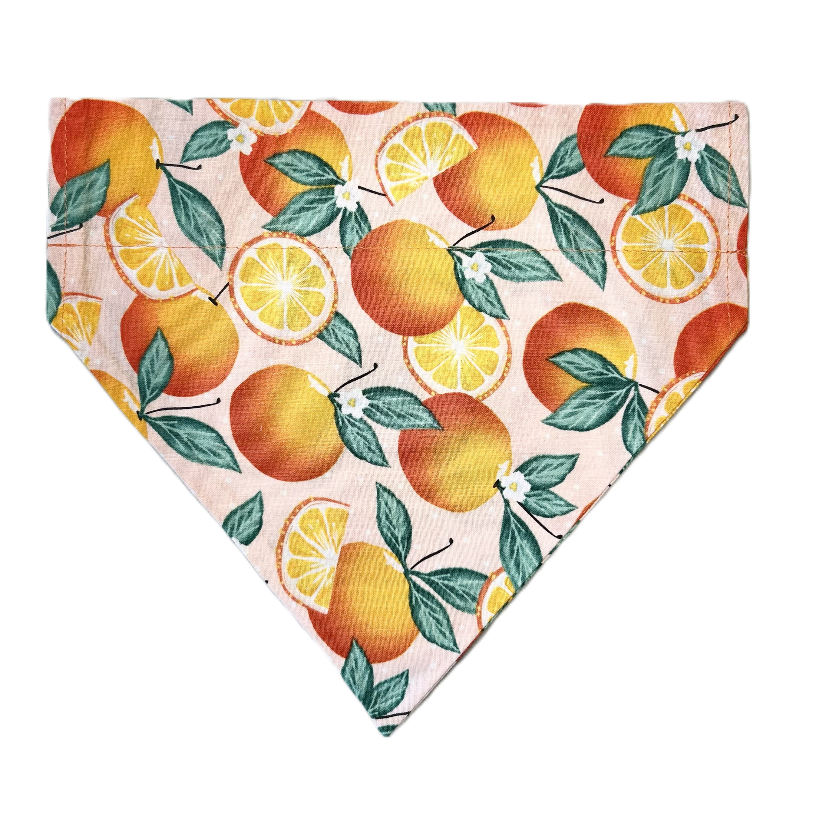 Personalized Dog Bandanas - General Theme Designs