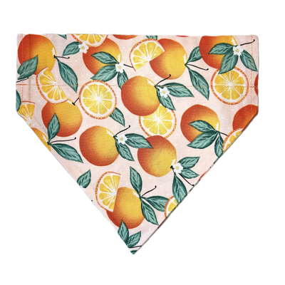 Personalized Dog Bandanas - General Theme Designs