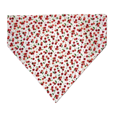Personalized Dog Bandanas - General Theme Designs