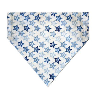 Personalized Dog Bandanas - General Theme Designs