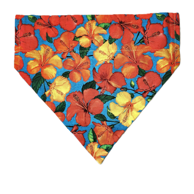 Personalized Dog Bandanas - Flower Theme Designs