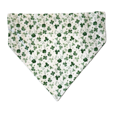 Personalized Dog Bandanas - Spring Theme Designs