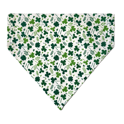 Personalized Dog Bandanas - Spring Theme Designs