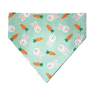 Personalized Dog Bandanas - Spring Theme Designs