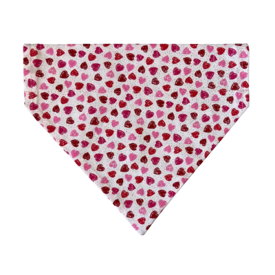 Personalized Dog Bandanas - Spring Theme Designs