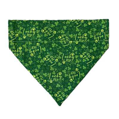 Personalized Dog Bandanas - Spring Theme Designs