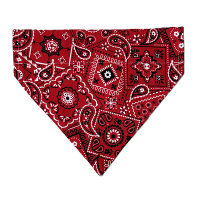Personalized Dog Bandanas - Paisley Theme Designs