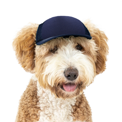 PupLid Dog Hat with Custom Design - Foam Trucker Hat - Pick up at CLE Unleashed