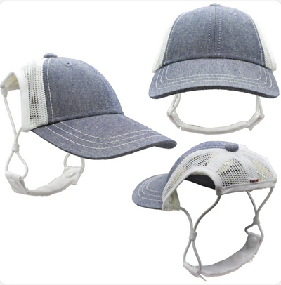 PupLid Dog Hat with Custom Design - Foam Trucker Hat - Pick up at CLE Unleashed