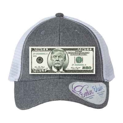Trump $250 Dollar Bill Trucker Hat for Patriotic Novelty