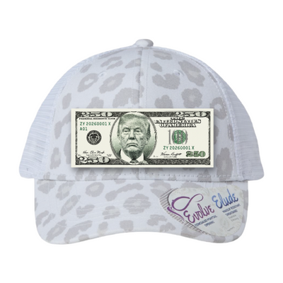 Trump $250 Dollar Bill Trucker Hat for Patriotic Novelty