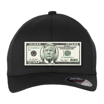 Trump $250 Dollar Bill Trucker Hat for Patriotic Novelty