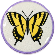 Swallowtail hat button side patch: a swallowtail butterfly on a white domed button. Butterflies collection.