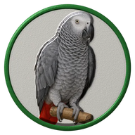 African Grey hat button side patch: a realistic African Grey portrait under a clear glass dome. Pet Birds collection.
