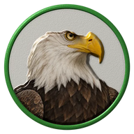 Bald Eagle hat button side patch: a realistic Bald Eagle portrait under a clear glass dome. Birds of Prey collection.