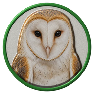 Barn Owl hat button side patch: a realistic Barn Owl portrait under a clear glass dome. Birds of Prey collection.