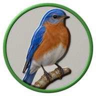 Bluebird hat button side patch: a realistic Bluebird portrait under a clear glass dome. Backyard Birds collection.