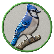 Blue Jay hat button side patch: a realistic Blue Jay portrait under a clear glass dome. Backyard Birds collection.