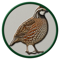 Bobwhite Quail hat button side patch: a realistic Bobwhite Quail portrait. Game & Showy Birds collection.