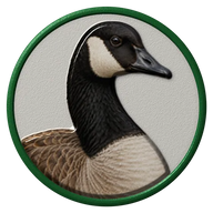 Canada Goose hat button side patch: a realistic Canada Goose portrait. Water & Shore Birds collection.