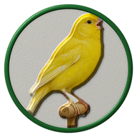 Canary hat button side patch: a realistic Canary portrait under a clear glass dome. Pet Birds collection.