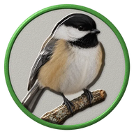 Chickadee hat button side patch: a realistic Chickadee portrait under a clear glass dome. Backyard Birds collection.