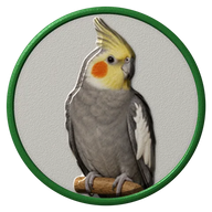 Cockatiel hat button side patch: a realistic Cockatiel portrait under a clear glass dome. Pet Birds collection.