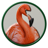 Flamingo hat button side patch: a realistic Flamingo portrait under a clear glass dome. Water & Shore Birds collection.