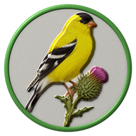 Goldfinch hat button side patch: a realistic Goldfinch portrait under a clear glass dome. Backyard Birds collection.