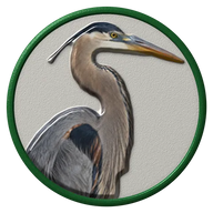 Great Blue Heron hat button side patch: a realistic Great Blue Heron portrait. Water & Shore Birds collection.