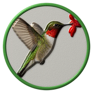 Hummingbird hat button side patch: a realistic Hummingbird portrait under a clear glass dome. Backyard Birds collection.
