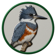 Kingfisher hat button side patch: a realistic Kingfisher portrait under a clear glass dome. Water & Shore Birds collection.