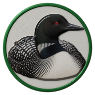 Loon hat button side patch: a realistic Loon portrait under a clear glass dome. Water & Shore Birds collection.