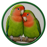 Lovebirds hat button side patch: a realistic Lovebirds portrait under a clear glass dome. Pet Birds collection.