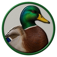 Mallard hat button side patch: a realistic Mallard portrait under a clear glass dome. Water & Shore Birds collection.