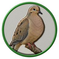 Mourning Dove hat button side patch: a realistic Mourning Dove portrait under a clear glass dome. Backyard Birds collection.