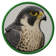 Peregrine Falcon hat button side patch: a realistic Peregrine Falcon portrait. Birds of Prey collection.
