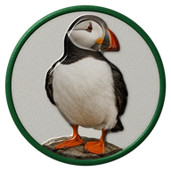 Puffin hat button side patch: a realistic Puffin portrait under a clear glass dome. Water & Shore Birds collection.