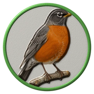 Robin hat button side patch: a realistic Robin portrait under a clear glass dome. Backyard Birds collection.