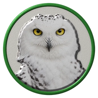 Snowy Owl hat button side patch: a realistic Snowy Owl portrait under a clear glass dome. Birds of Prey collection.