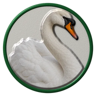 Swan hat button side patch: a realistic Swan portrait under a clear glass dome. Water & Shore Birds collection.
